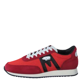 Albatross Barbados Cherry / Fiesta